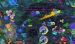 91y捕鱼有直播的吗,精彩瞬间不容错过